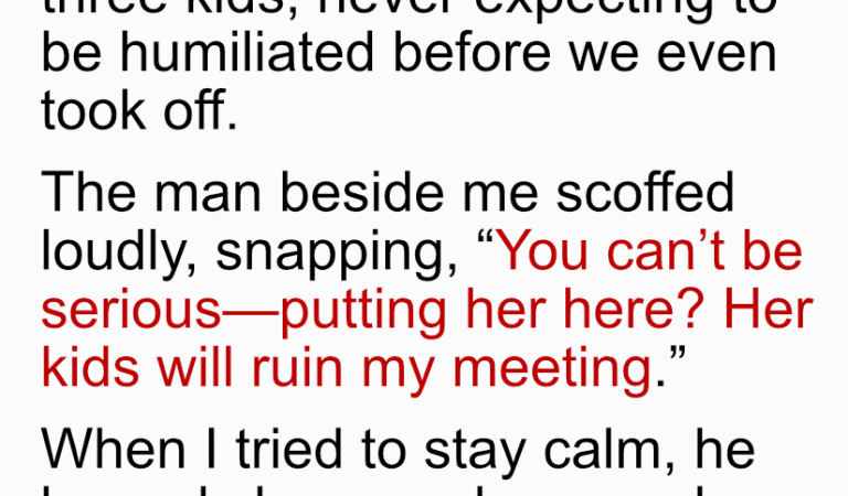 A Millionaire Mocked a Mom of 3 as “Too Poor” for Business Class… Until the Pilot Said Her Name